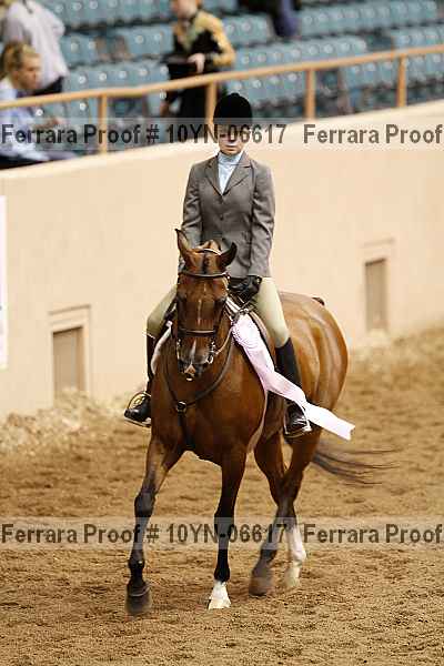 Proof 10yn-06617