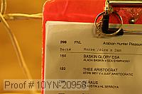 10yn-20958 proof