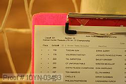 10yn-03483 proof