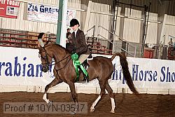 10yn-03517 proof