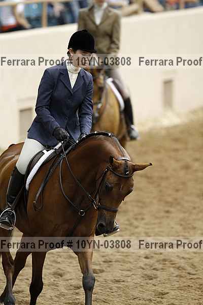 Proof 10yn-03808
