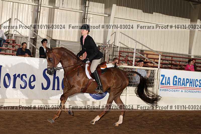 Proof 10yn-03024