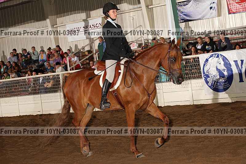Proof 10yn-03087