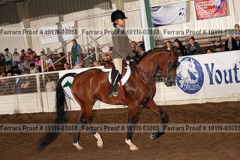 Proof 10yn-03088