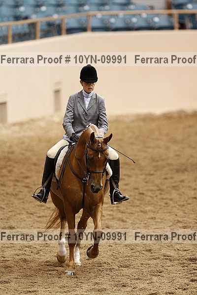 Proof 10yn-09991