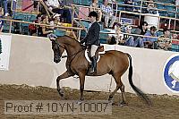 10yn-10007 proof