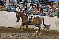 10yn-10013 proof