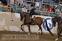 10yn-10017 proof