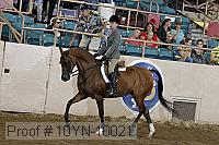10yn-10021 proof