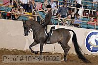 10yn-10022 proof