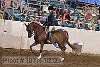 10yn-10023 proof