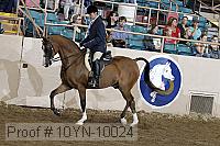 10yn-10024 proof