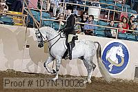10yn-10028 proof