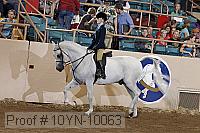 10yn-10063 proof