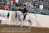 10yn-10078 proof