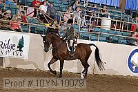 10yn-10079 proof