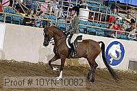 10yn-10082 proof