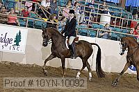10yn-10092 proof