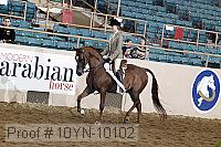 10yn-10102 proof