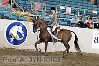 10yn-10103 proof