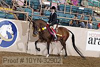 10yn-32902 proof