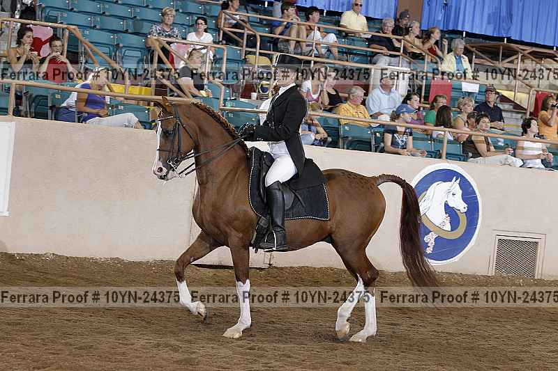 Proof 10yn-24375