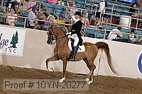 10yn-20277 proof