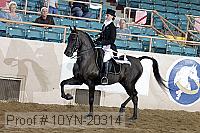 10yn-20314 proof