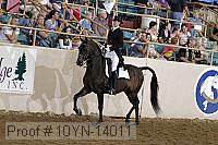 10yn-14011 proof