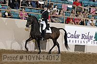 10yn-14012 proof