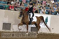 10yn-14017 proof