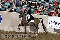10yn-14022 proof