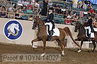 10yn-14027 proof