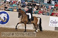 10yn-14039 proof