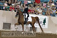 10yn-14050 proof
