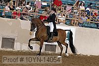 10yn-14054 proof