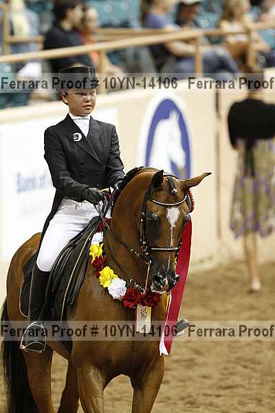 Proof 10yn-14106