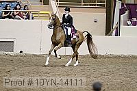 10yn-14111 proof