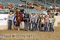 10yn-14133 proof
