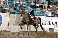 10yn-14155 proof