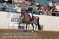 10yn-14161 proof