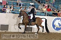 10yn-14162 proof