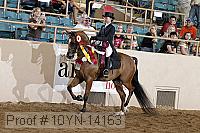 10yn-14163 proof
