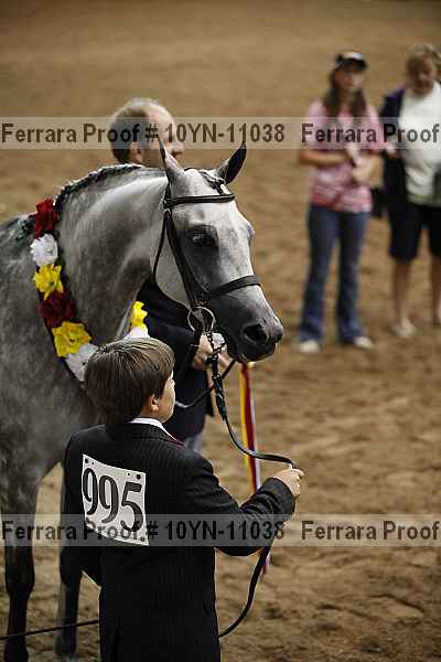 Proof 10yn-11038