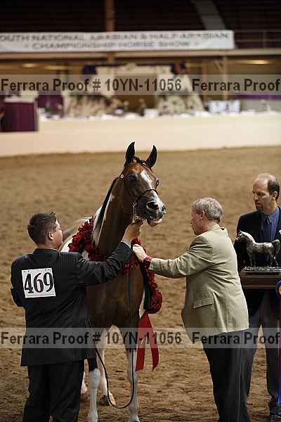 Proof 10yn-11056