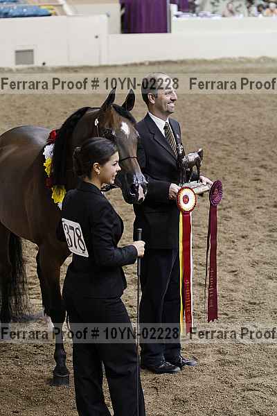 Proof 10yn-02228