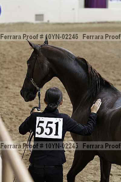 Proof 10yn-02245