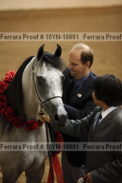 Proof 10yn-10601