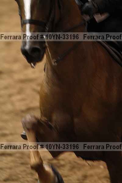 Proof 10yn-33196