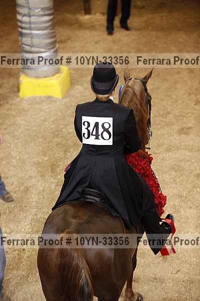 Proof 10yn-33356